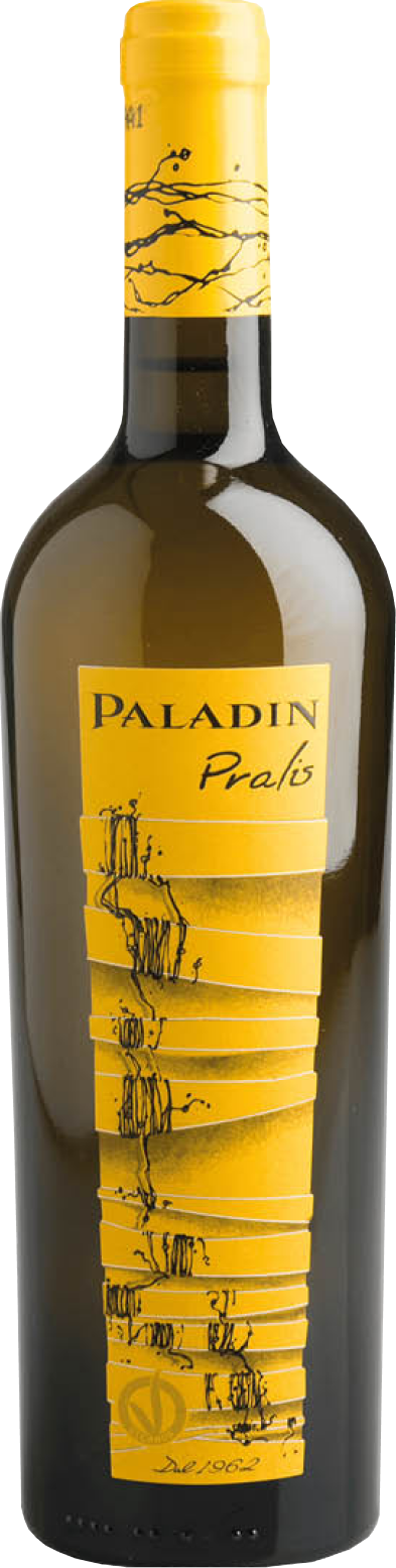 Paladin, Pralis, 2021